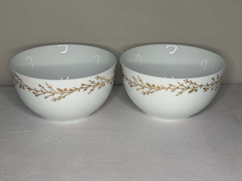 Pier 1 Gilded Wreath Porcelain Bowl Lot of 2